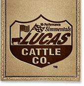 Lucas Cattle Company Logo
