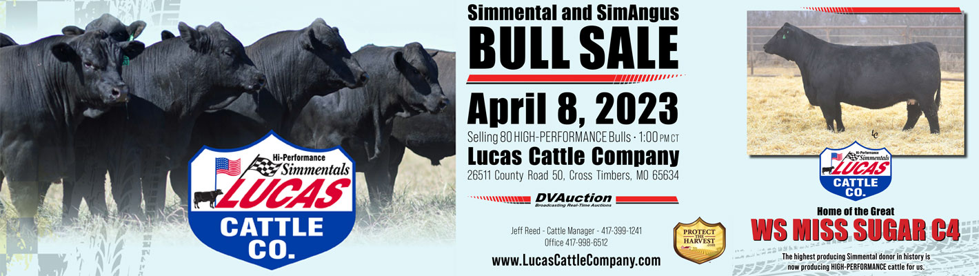 Simmental and SimAngus Bull Sale - April 8, 2023 - Click here for more details