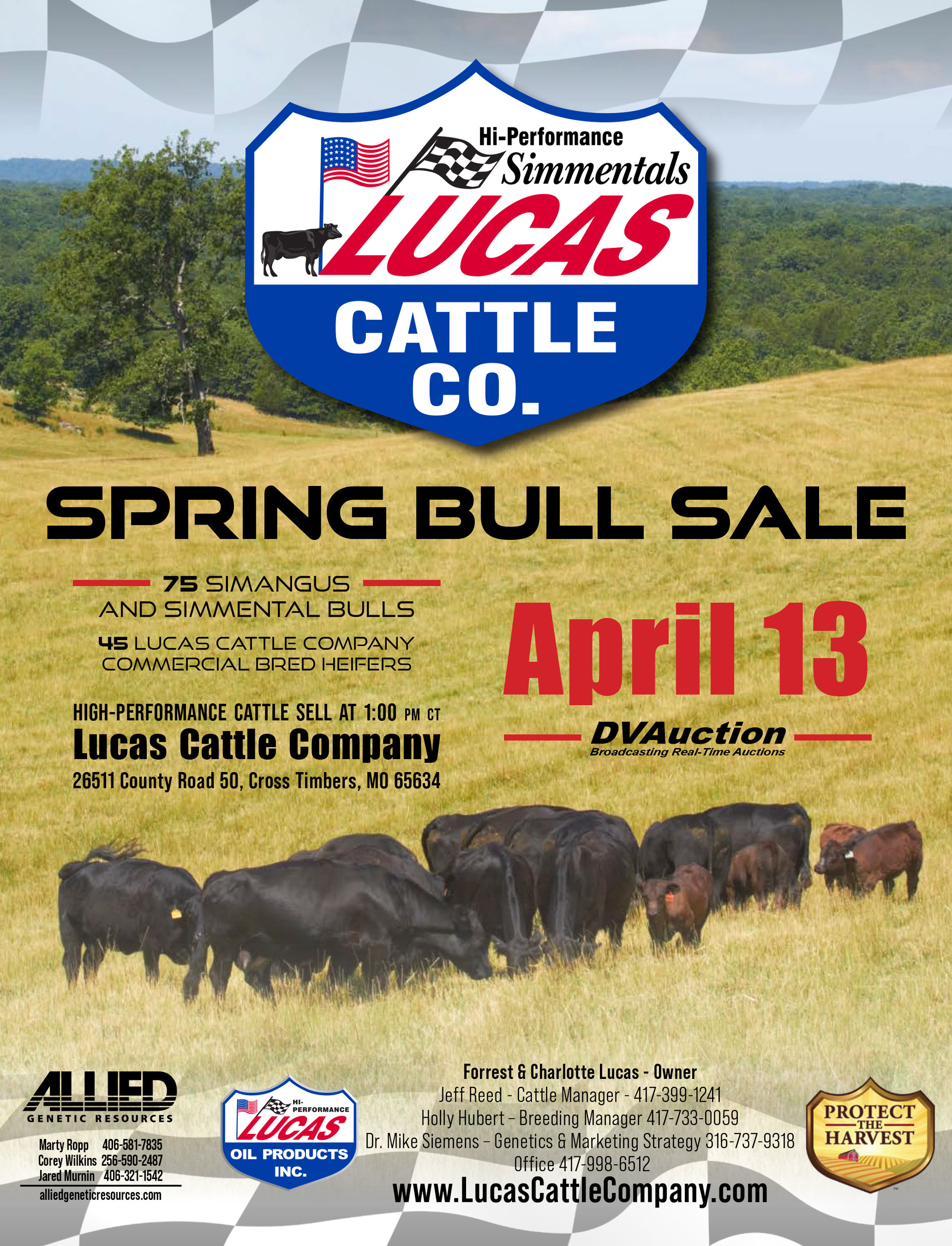 Lucas Cattle Company Simmental and SimAngus Bull Sale - April 13, 2024