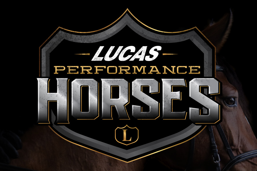 Additional Info  Lucas Cattle Company